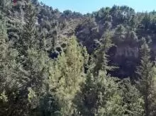 ارض للبيع في الرملية land for sale in rmlye aley