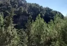 ارض للبيع في الرملية land for sale in rmlye aley