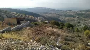 Land for Sale Hadtoun Batroun Area 5095Sqm