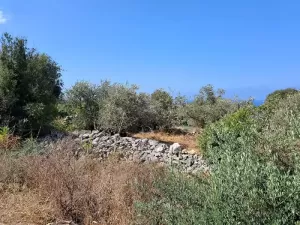 Land for sale Monsef Area 1255sqm