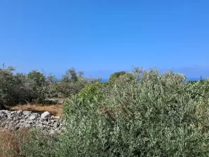 Land for sale Monsef Area 1255sqm
