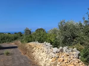 Land for sale Monsef Area 1255sqm