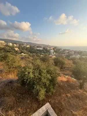 Land for Sale Kfar Aabida Batroun Area 1365Sqm