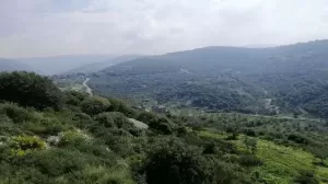 Land for Sale Bejjeh Jbeil Area 1741Sqm