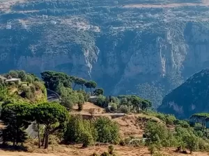 Land for Sale Hadath El Jebbeh Bsharri Area 750Sqm