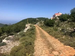 Land for Sale Hakel Jbeil area 1210Sqm