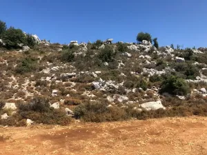 Land for Sale Hakel Jbeil area 1210Sqm