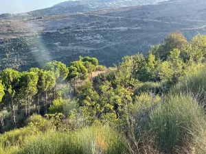 Land for Sale Hadtoun Batroun Area 1890Sqm