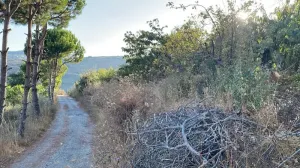 Land for Sale Hadtoun Batroun Area 1890Sqm
