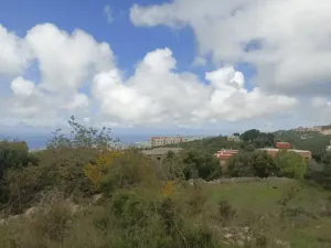 Land for Sale Barij Jbeil Area 1162Sqm