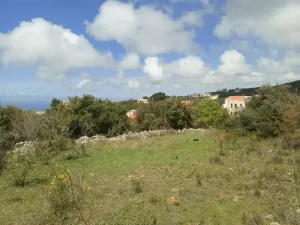 Land for Sale Barij Jbeil Area 1162Sqm