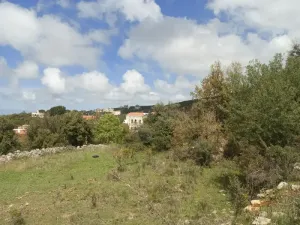 Land for Sale Barij Jbeil Area 1162Sqm