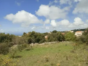 Land for Sale Barij Jbeil Area 1162Sqm