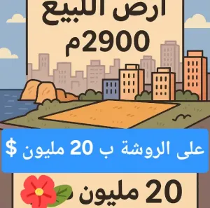 أرض للبيع على الروشة كركاس المنارة ب20مليون دولار
