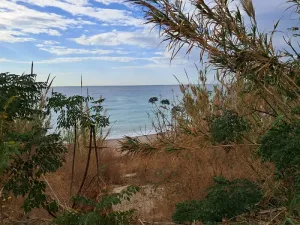 Land for Sale Jbeil ( Byblos City ) Area 3931Sqm