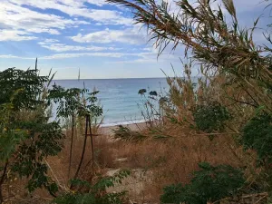 Land for Sale Jbeil ( Byblos City ) Area 3931Sqm