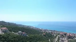 Land for Sale Halat Jbeil Area 938Sqm