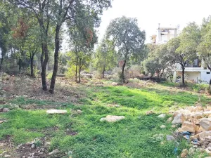 Land for Sale Zebdine ( Maayan ) Jbeil Area 750Sqm