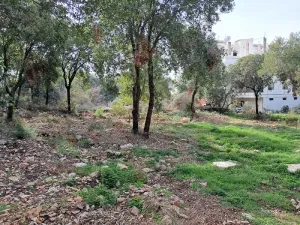 Land for Sale Zebdine ( Maayan ) Jbeil Area 750Sqm