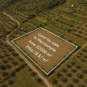 أرض في المروانية 22 ألف متر للبيع ب 400 الف $