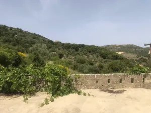 Old House for Sale Kour Batroun Housing Area 300Sqm Two Floor & Land Area 8900Sqm