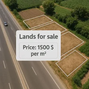 أراضي على مدخل صور على الطريق العام للبيع