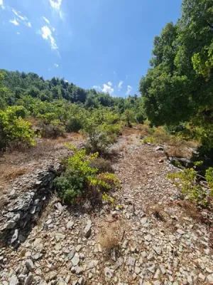 Land for Sale Lehfed Jbeil Area 2919Sqm