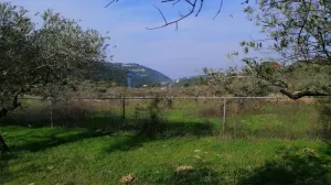 Land for Sale Ain Kfaa Jbeil Area 6400Sqm
