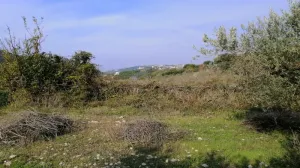 Land for Sale Ain Kfaa Jbeil Area 6400Sqm