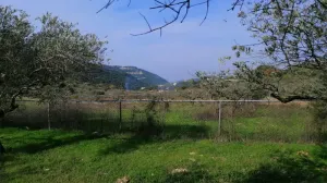 Land for Sale Ain Kfaa Jbeil Area 6400Sqm