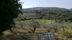 Land for Sale Ain Kfaa Jbeil Area 6400Sqm