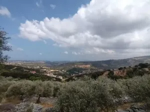 Land for Sale Chabtine Batroun Area 959Sqm