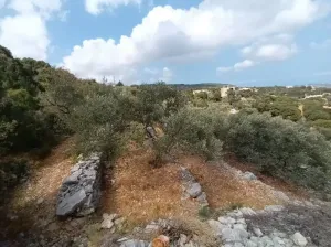 Land for Sale Chabtine Batroun Area 959Sqm