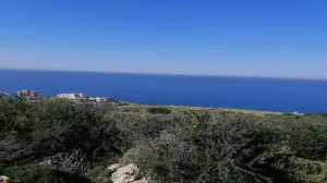 Land for Sale Monsef Jbeil Area 2580Sqm
