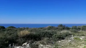 Land for Sale Monsef Jbeil Area 2580Sqm
