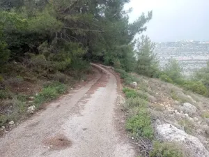 Land for Sale Hardine - Beit Kassab Batroun Area 17003Sqm