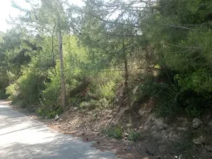 Land for Sale Hardine - Beit Kassab Batroun Area 17003Sqm