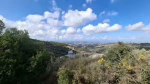 Land for Sale Aalali Batroun Area 800Sqm