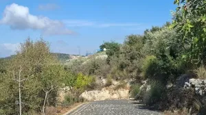 Land for Sale Aalali Batroun Area 800Sqm