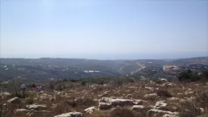 Land for Sale Aabeidat Jbeil Area 2411Sqm