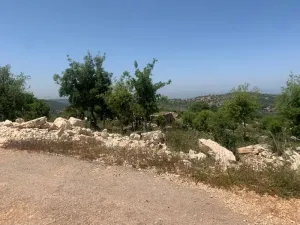 Land for Sale Aassia Batroun Area 1526Sqm