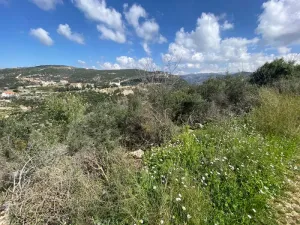 Land for Sale Bejjeh Jbeil Area 5520Sqm