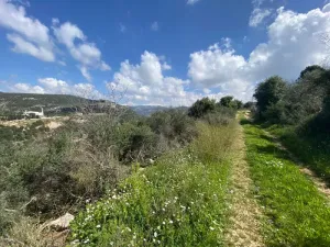 Land for Sale Bejjeh Jbeil Area 5520Sqm
