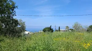 Land for Sale Edde Jbeil Area 1000Sqm