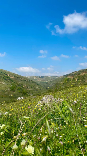 جبل لبنان: قلب لبنان النابض بجماله الطبيعي وتاريخه العريق